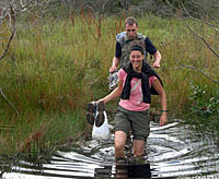 Bild: Wandern in der Hochebene